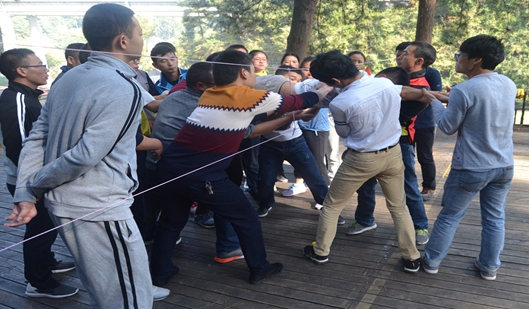 穿越電網(wǎng)_副本