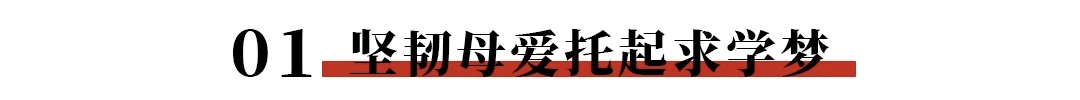 3.1 3.1