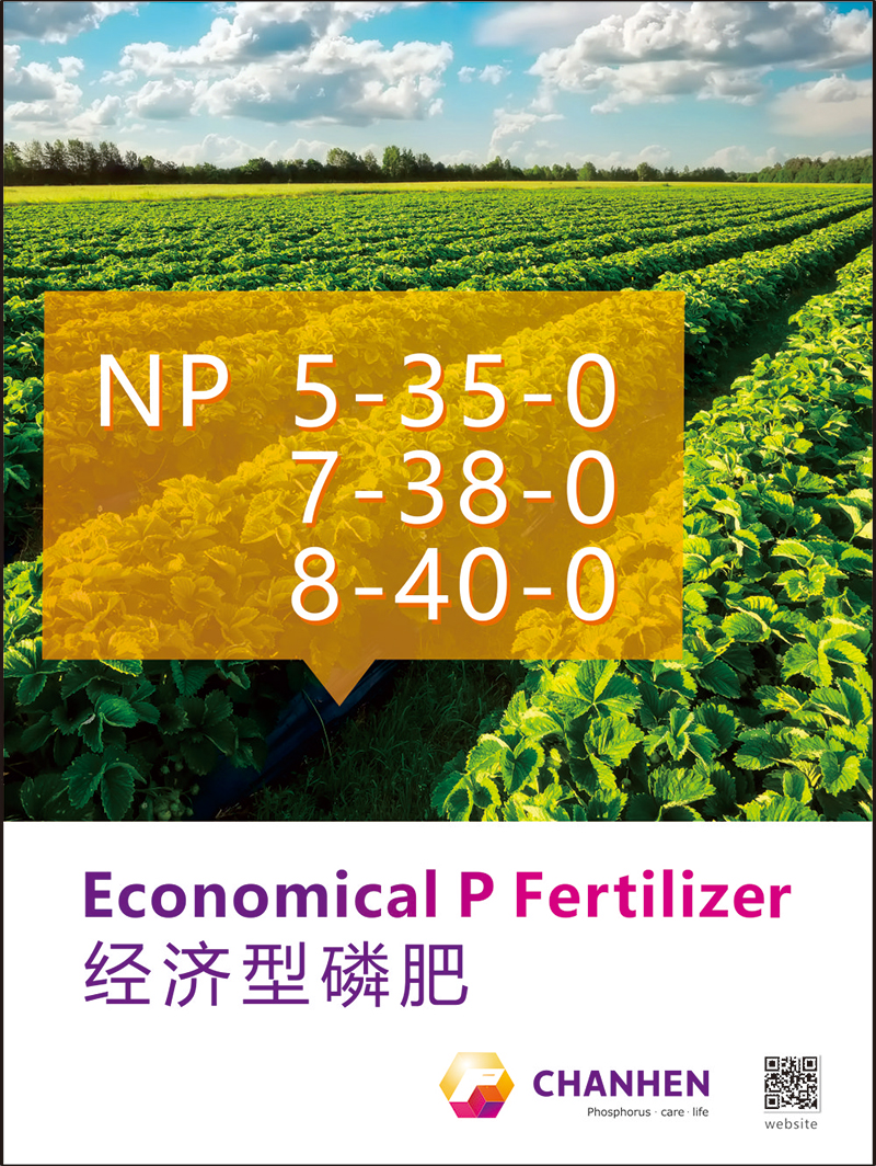 NP海報